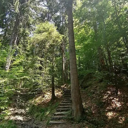 Petkovi аpartments, Gardens - One-bedroom And Two-bedroom * Borovets
