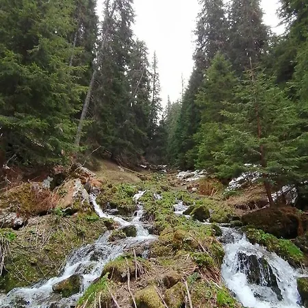 Petkovi аpartments, Gardens - One-bedroom And Two-bedroom * Borovets